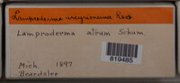 Image Associated With the Occurence